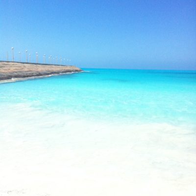 مارينا